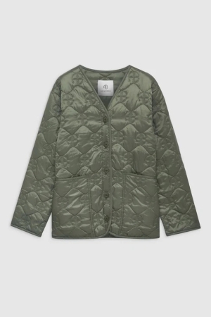 A017021000 OLIVE