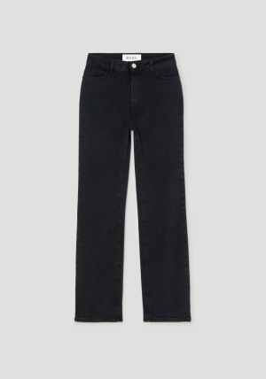 419-31-241 BLACK